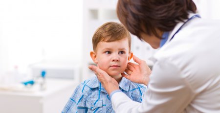 Величина эндокринной железы у детей – как определить отклонения?